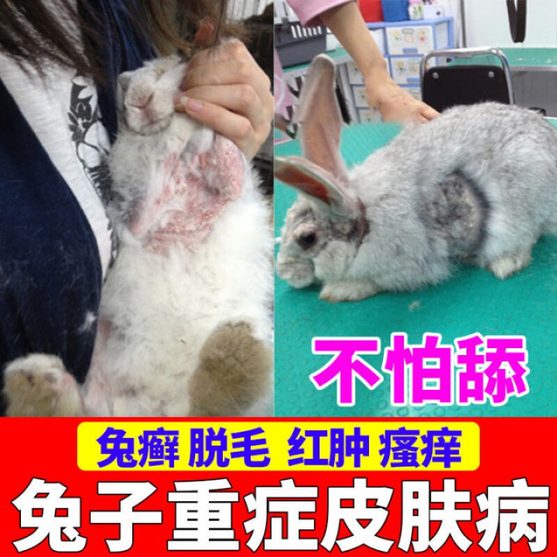 采缇(caiti)兔药专用药兔子龙猫皮肤病喷剂外用脱毛癣脚皮炎螨虫真菌