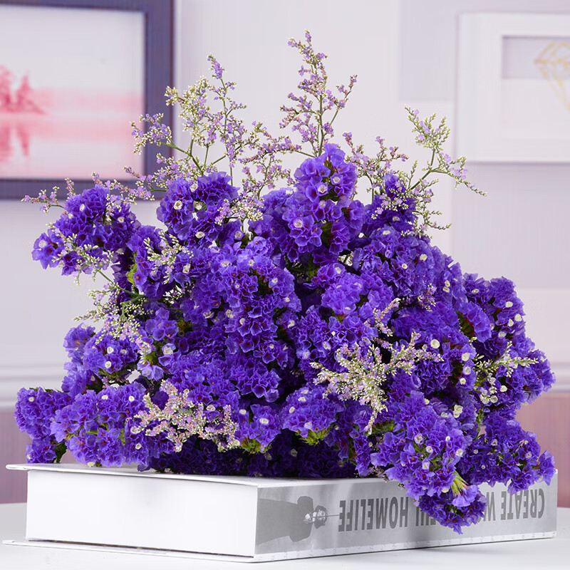 怎么查京东干花全网最低时候价格|干花价格历史