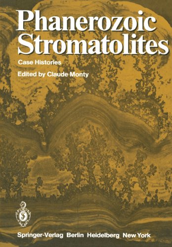 预订 Phanerozoic Stromatolites