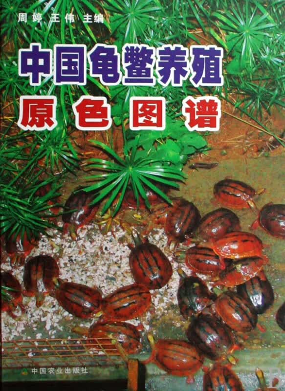 中国龟鳖养殖原色图谱(精)