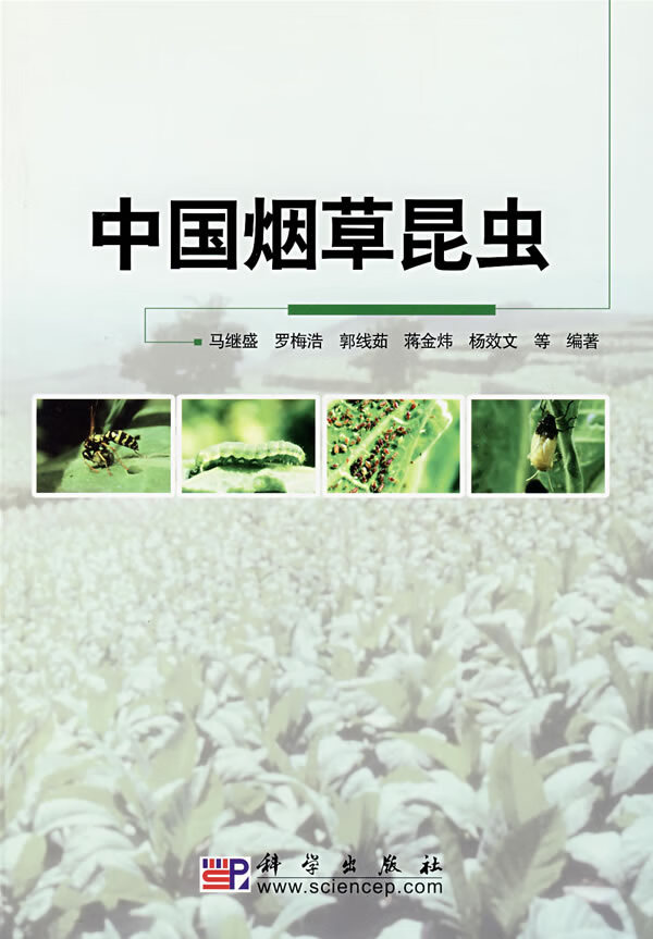 中国昆虫 马继盛等编著【正版图书】
