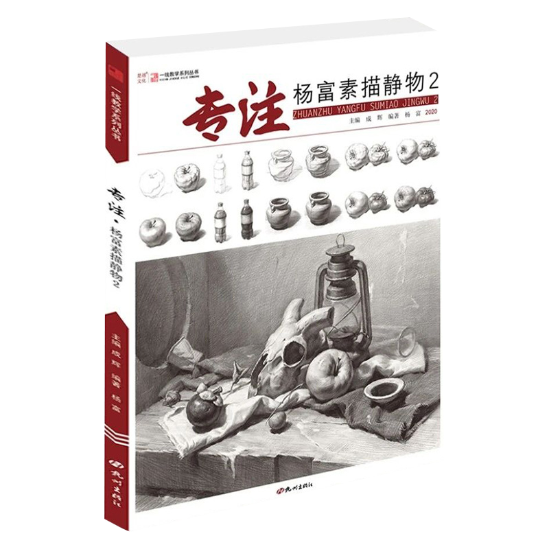 2020专注杨富素描静物2 一线教学单体
