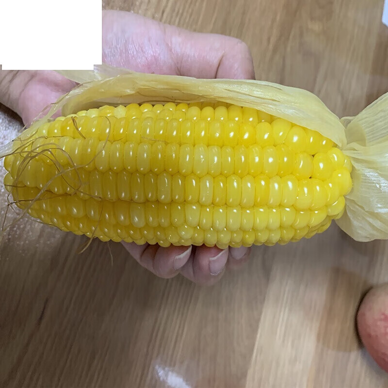 虎钢馋东北特产 甜糯玉米棒 黏粘新鲜水果即食真空袋装8支