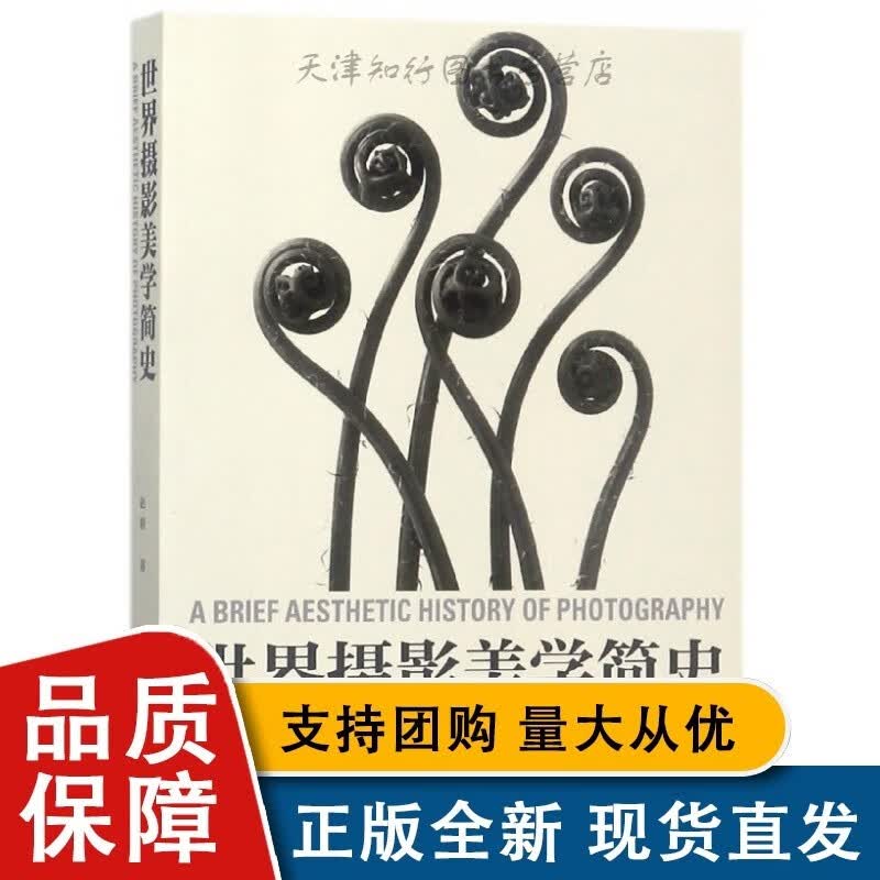 世界摄影美学简史