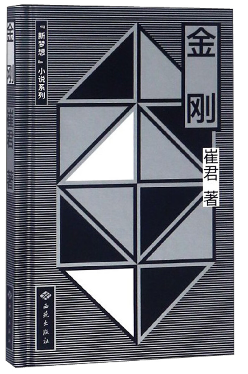 金刚/新梦想小说系列