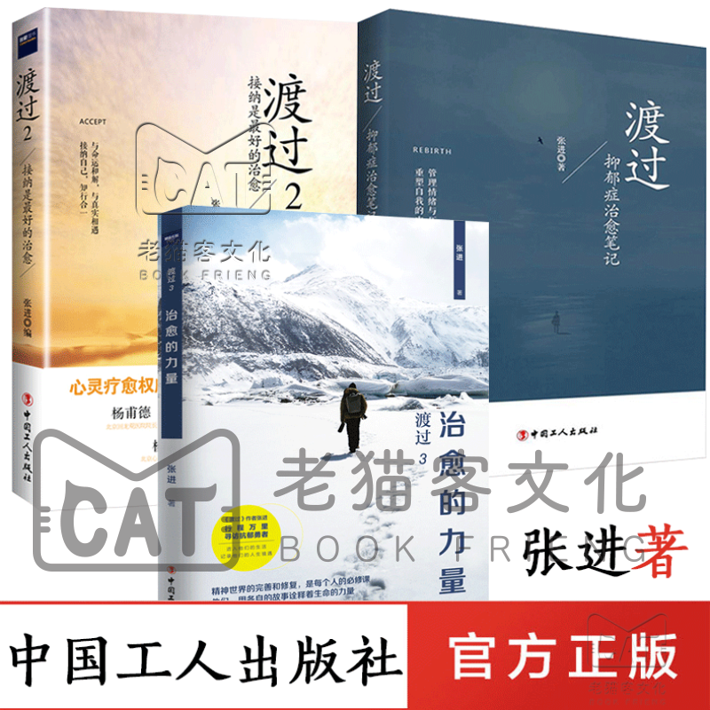 现货 共3册 渡过1 2 3 抑郁症笔记 张进 走出抑郁症的力量 一个抑郁症