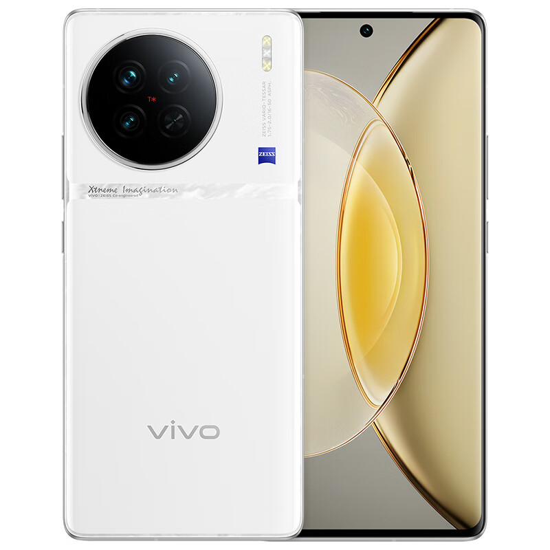 vivo X90 5G智能手机 8GB+256GB 永生花情人节套装