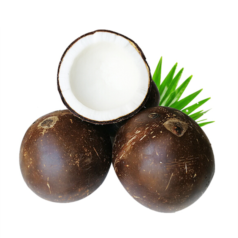 海南椰子老椰皇当季新鲜水果孕妇椰椰汁煲椰子水鸡汤 2个椰子(整件约