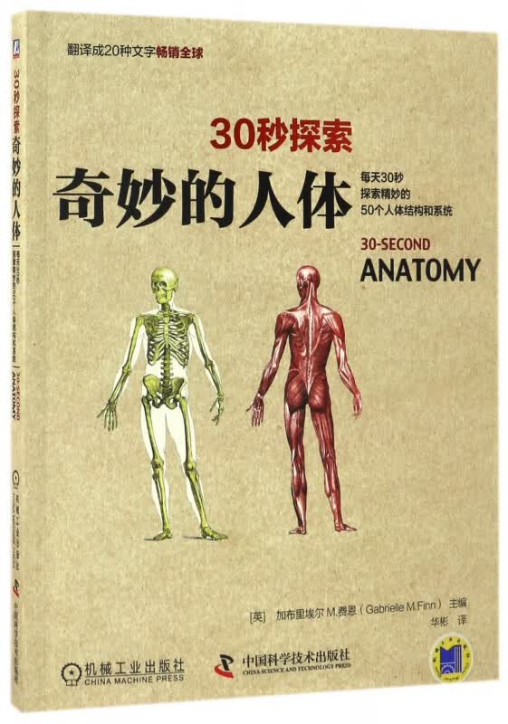 奇妙的人体/30秒探索
