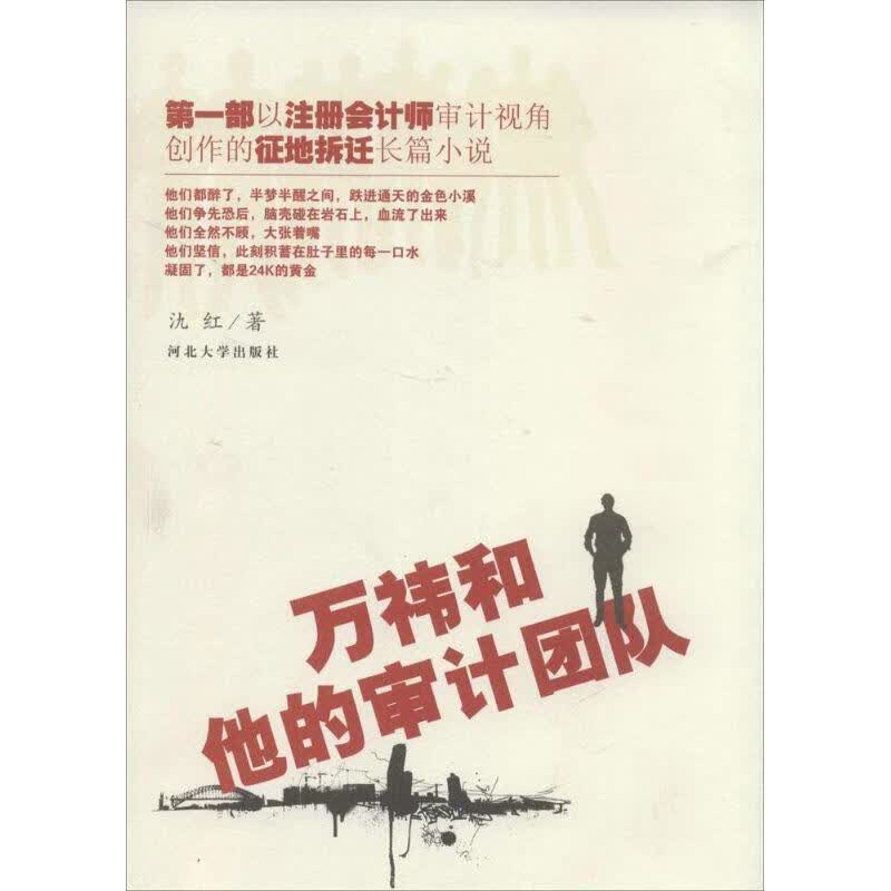 万祎 和他的审计团队 氿红 河北大学出版社