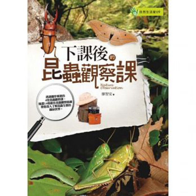 预订台版 下课后的昆虫观察课 昆虫生态观察体验基础知识自然科普
