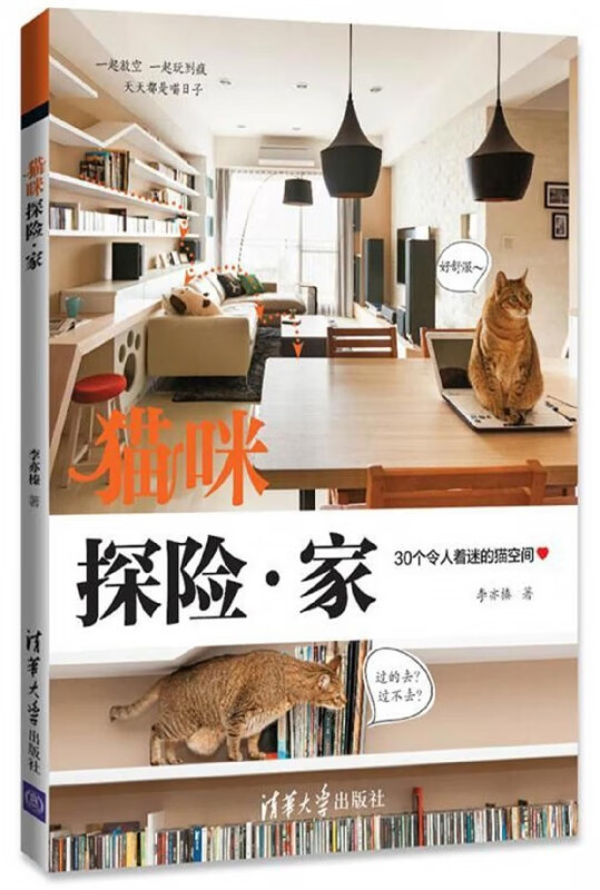 猫咪探险家(30个令人着迷的猫空间)