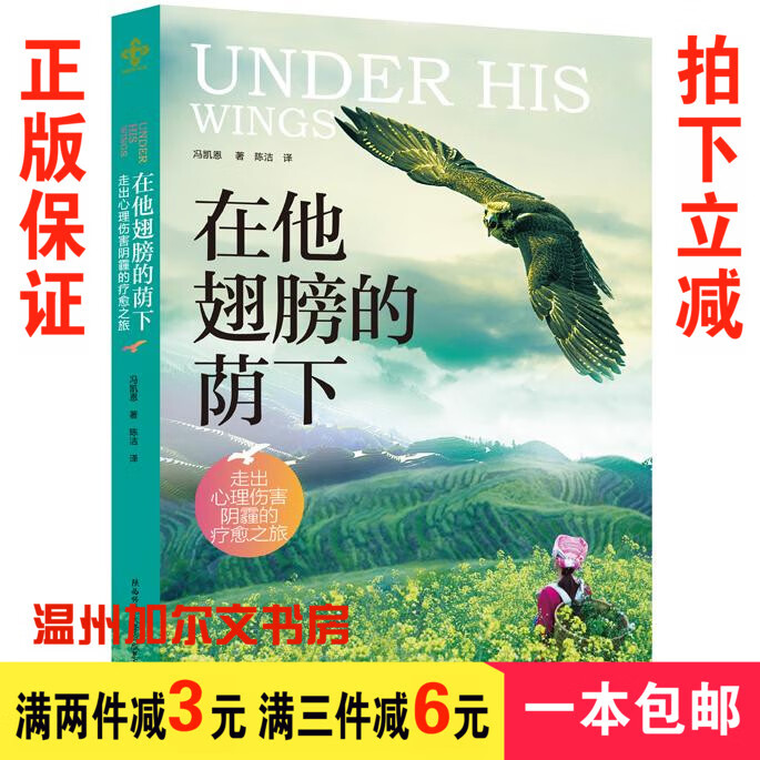 在他翅膀的荫下——走出心理伤害阴霾的疗愈之旅