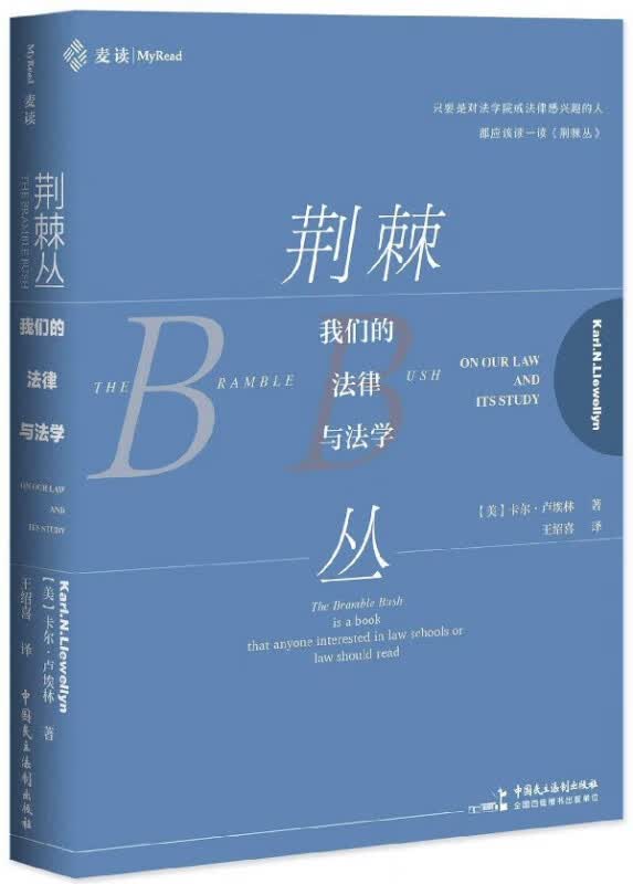 荆棘丛(我们的法律与法学)(精)