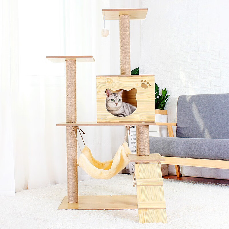 AITAPET木质猫爬架两个月小猫可以用吗？