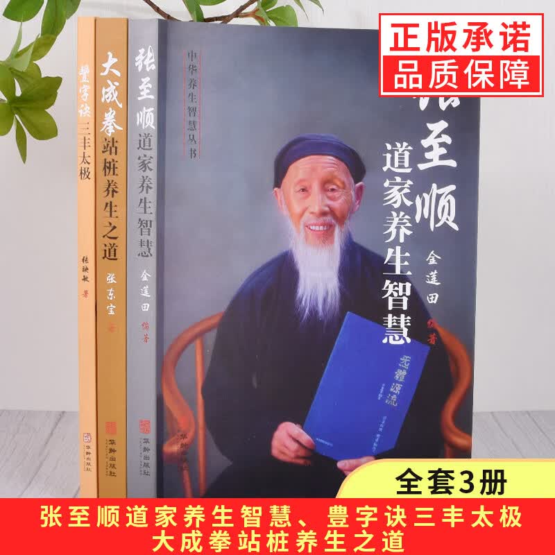 【现货正版包邮】全套3册张至顺道家养生智慧+豊字诀三丰太极+大成拳站桩养生之道 养生丛书 中医养生书籍中老年人保健养生书