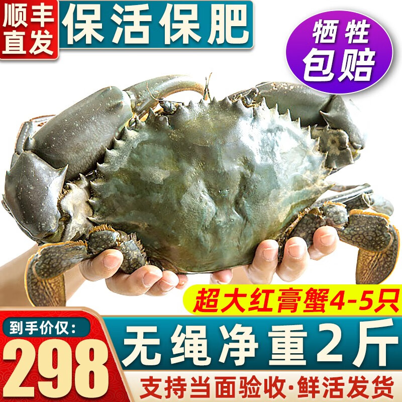 オンラインお得セール - 正絹【単衣】しょうざん生紬 蟹(未使用品