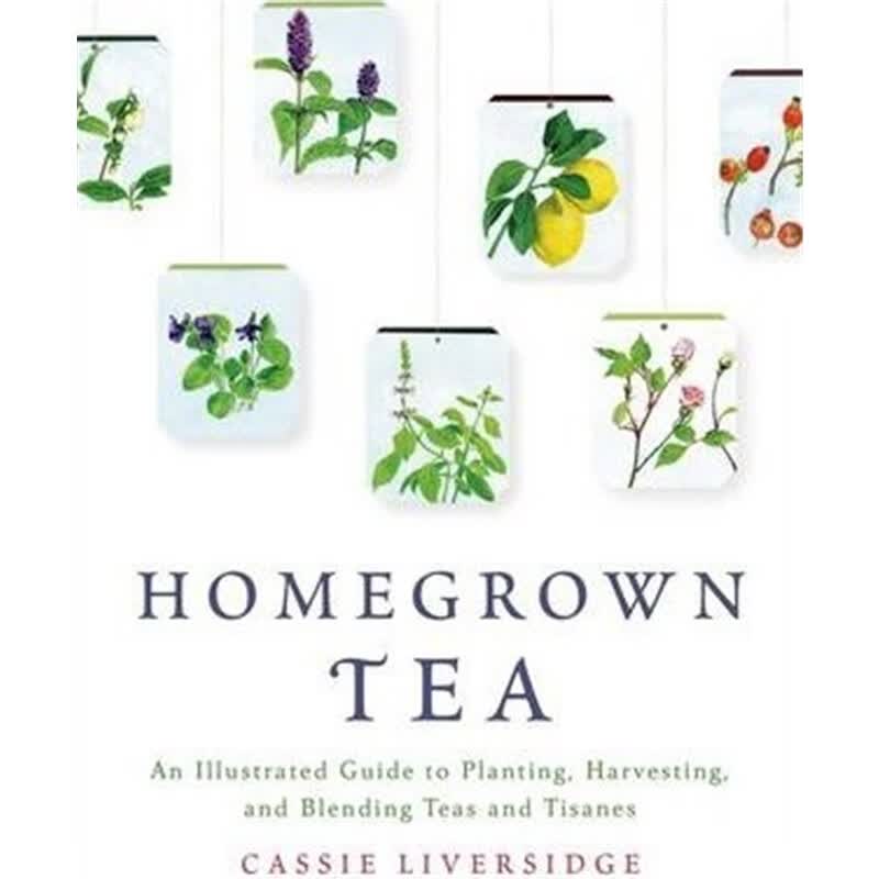 Homegrown Tea: An Illustrated Guide to Planting, H