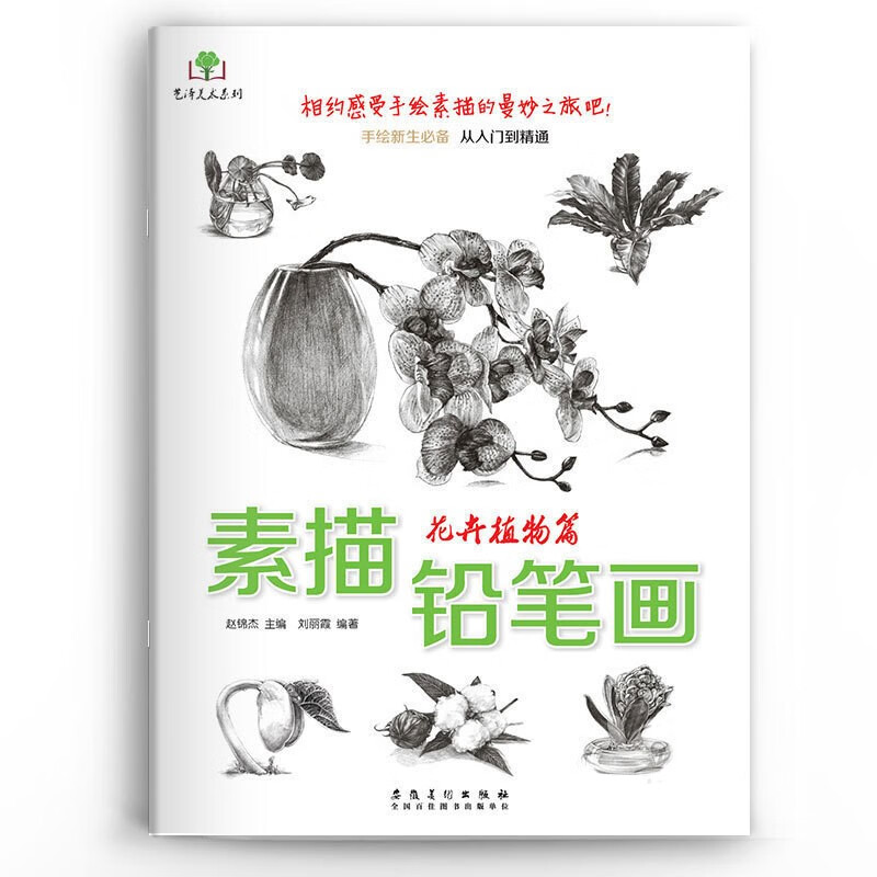 素描铅笔画 铅笔从入门到精通 素描美术书