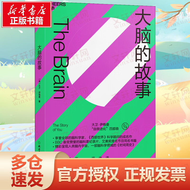 大脑的故事