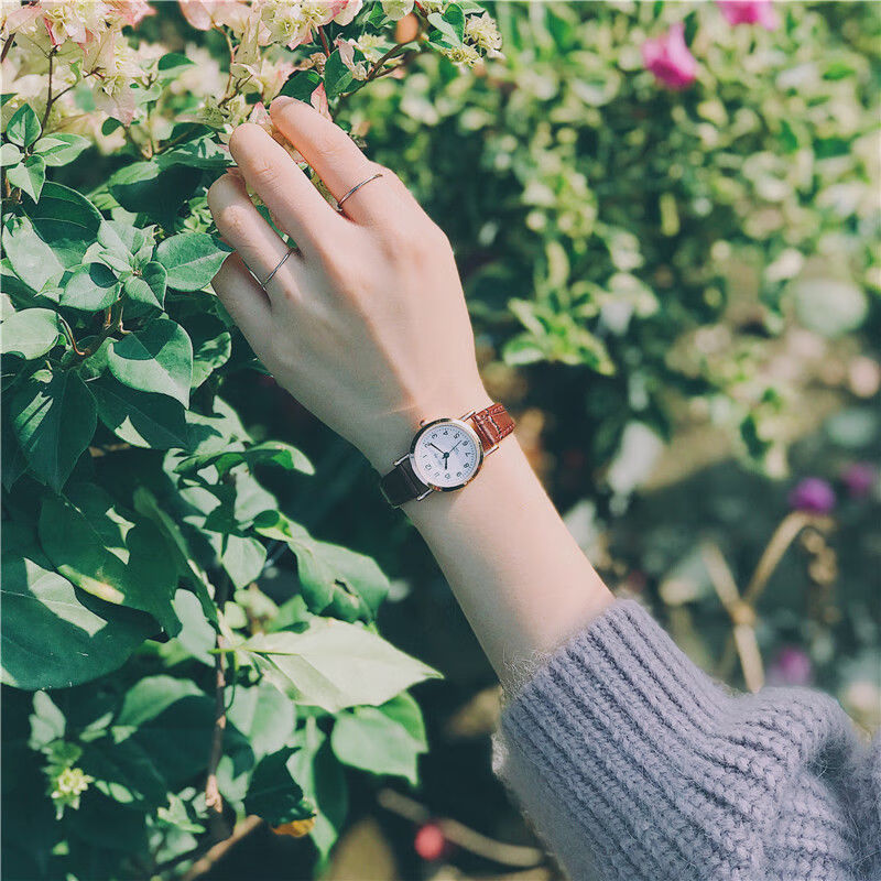 石英森女款初高中学生小巧简约气质小清新学院风文艺 1376咖带 礼物