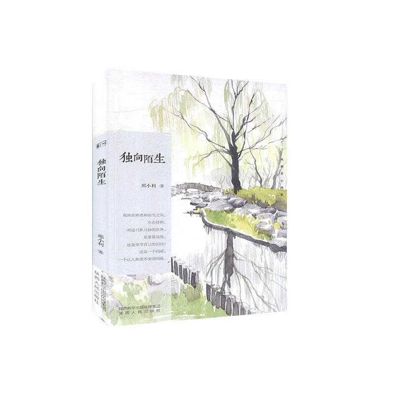 独向陌生 邢小利 文学 97872241