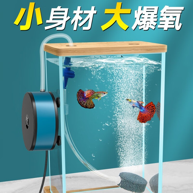 crazy plant氧气泵迷你小型鱼缸家用水族箱增氧养鱼打氧制氧机器供冲