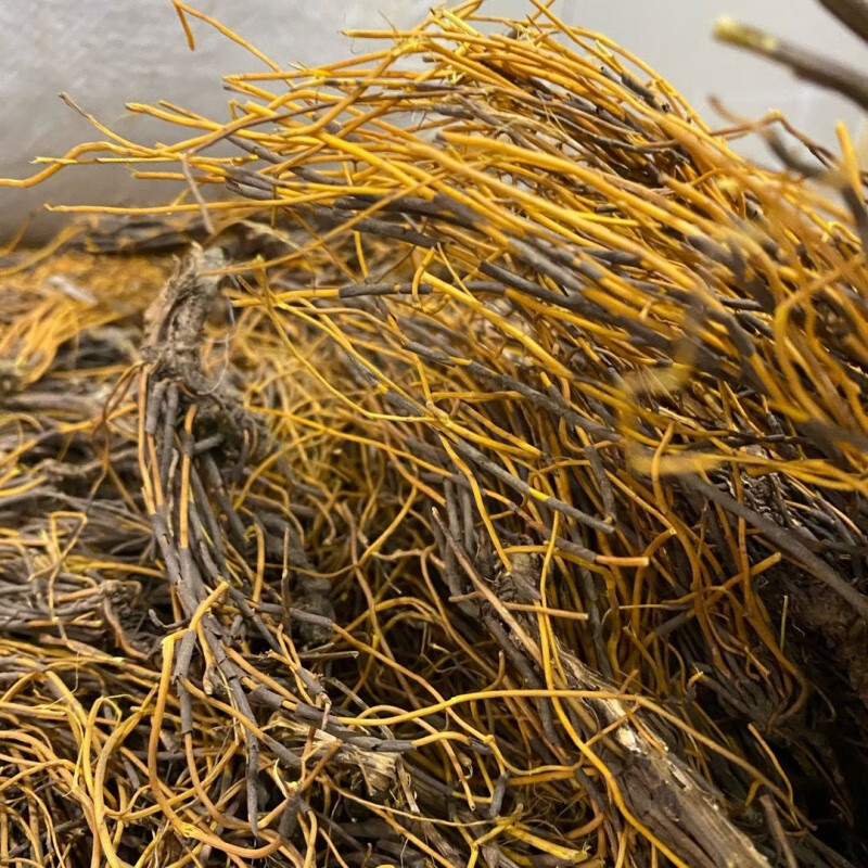 北京中药材马尾连马尾黄连金丝马尾连马尾莲250克野l生 250克 云南