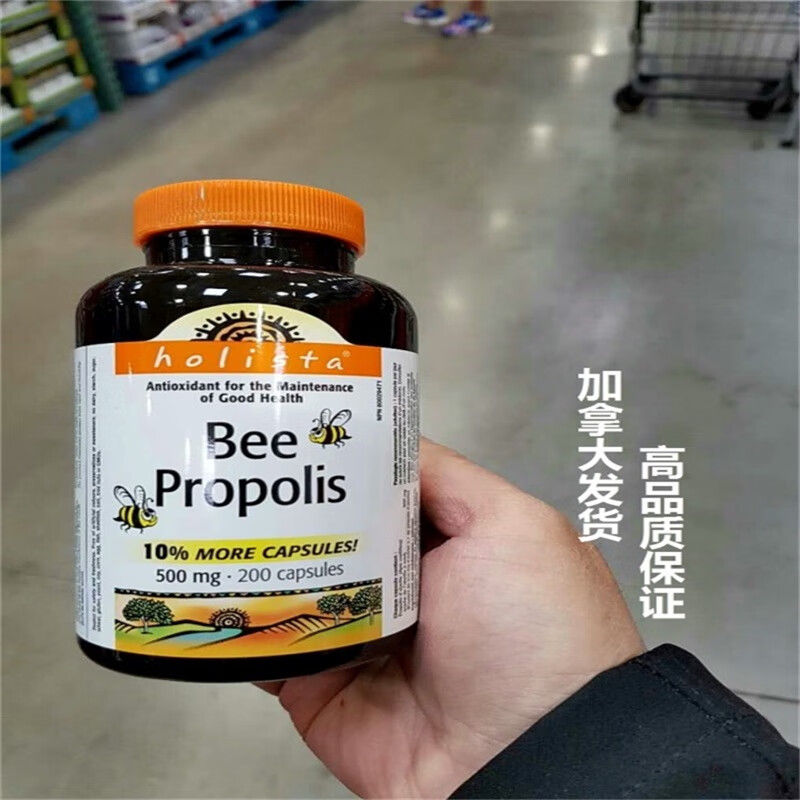 加拿大直邮黑蜂胶软胶囊高浓度进口中老年保健品200粒