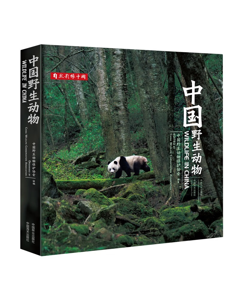 怎样查生物X历史价|生物X价格走势图