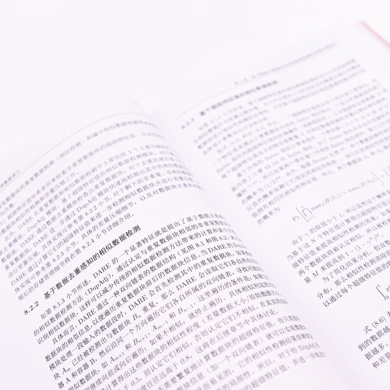 大规模存储系统数据消冗详情图