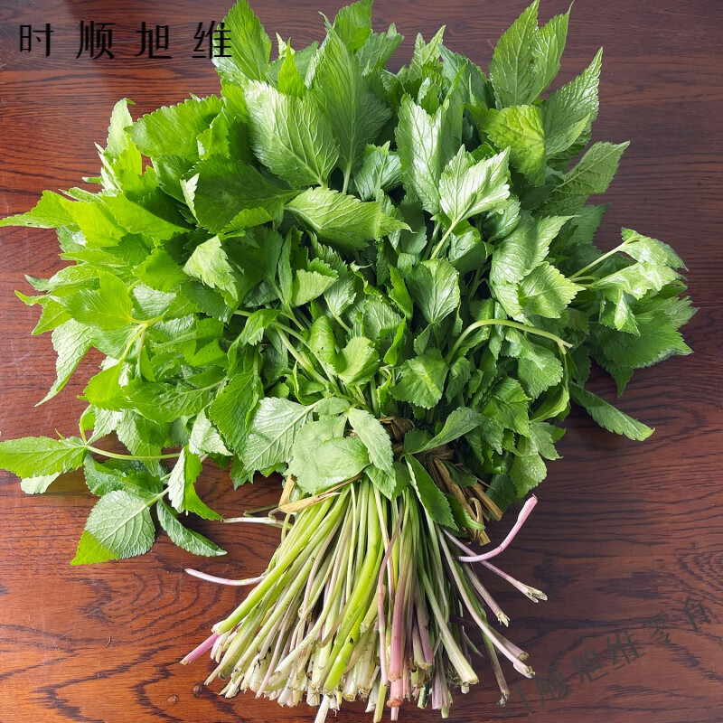 千畅安东北特产新鲜山野菜大叶芹500g顺丰食用山芹菜现摘 500g