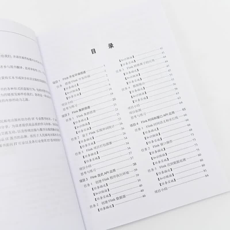 大数据实时流处理技术实战——基于Flink+Kafka技术（异步图书出品）详情图