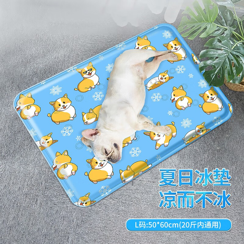 告知梦多福CW10-11狗窝优缺点分析参考，交流半个月真相分享