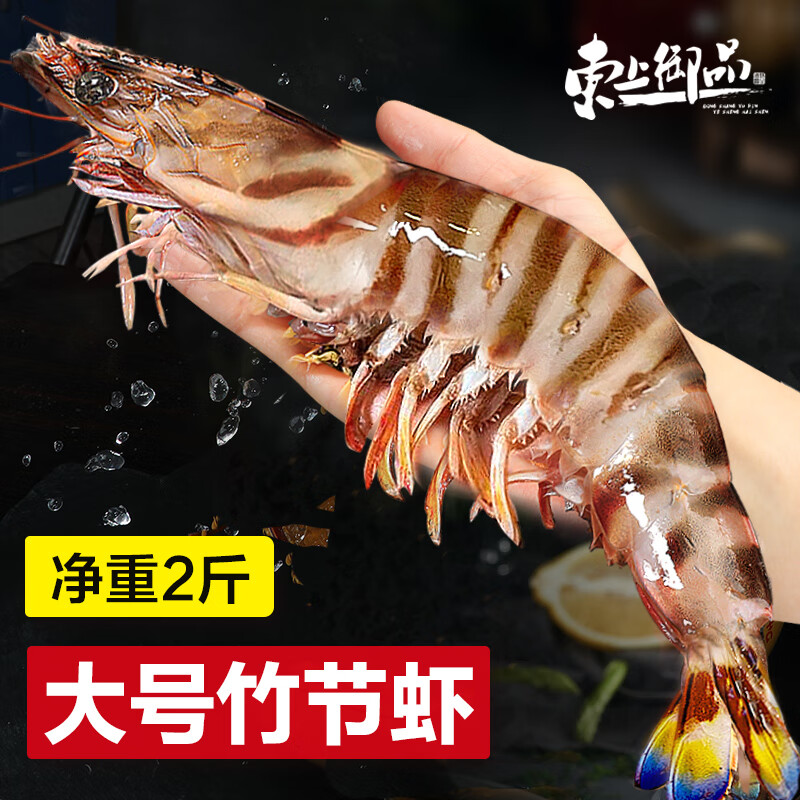 東上御品竹節(jié)蝦鮮活速凍九節(jié)蝦斑節(jié)蝦新鮮大蝦特大海鮮水產(chǎn)超大 2斤大號竹節(jié)蝦 1kg(凈重)