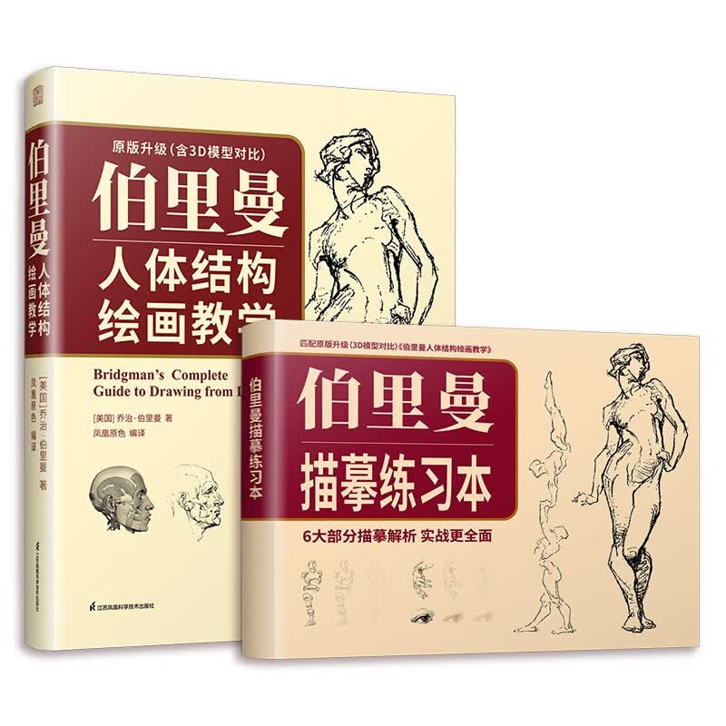 伯里曼人体结构绘画教学（赠:伯里曼描摹练习本）  3D模型对比素描基础教程 理解人体形态基础入门