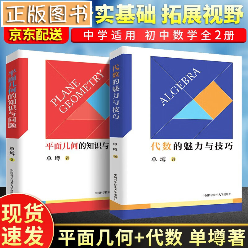 单墫【全2册】代数的魅力与技巧+平面几何的知识与问题 中科大初中数学教辅 2021中考数学刷题