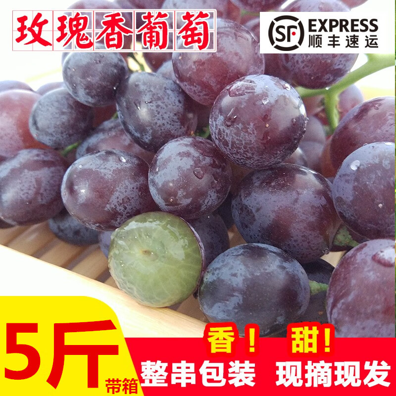 玫瑰香葡萄新鲜水果山东当季整箱孕妇提子顺丰5斤 500g
