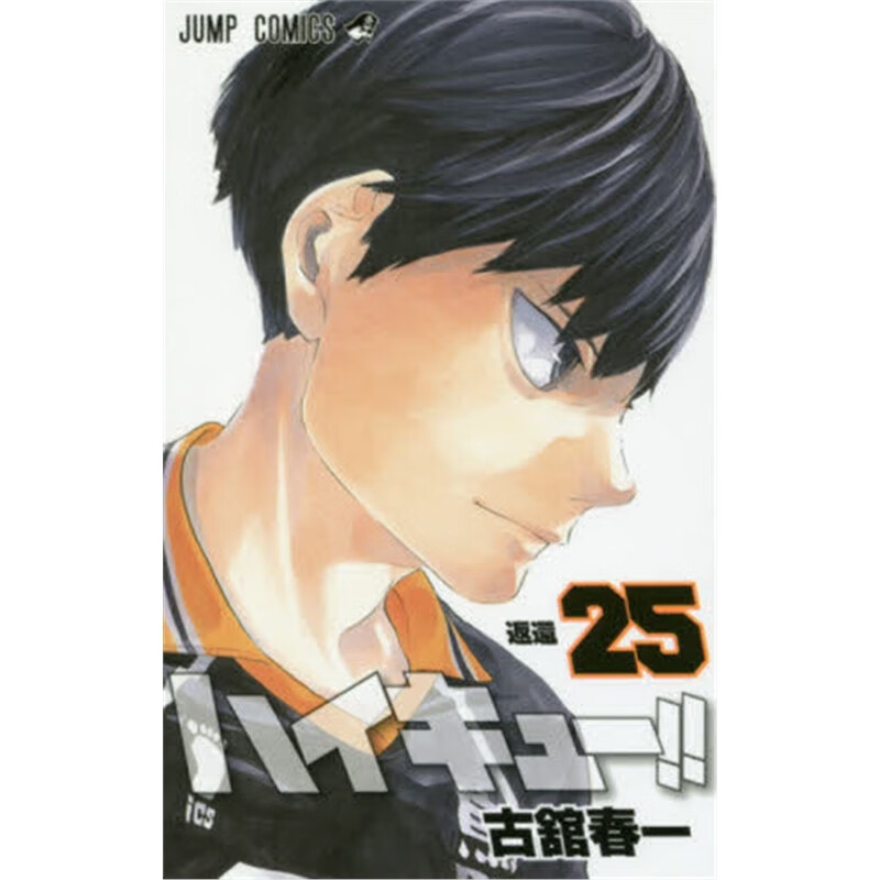 日文原版 ハイキュー！！２５