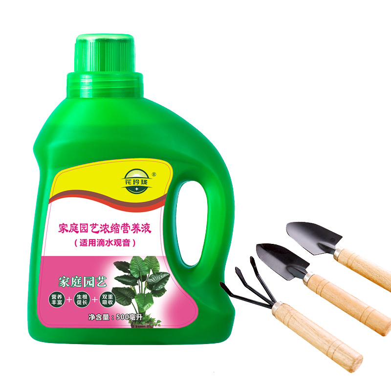 花玲瓏 適用于滴水觀音營(yíng)養(yǎng)液500ml 海芋大蟲芋大海芋觀音蓮植物濃縮營(yíng)養(yǎng)液體肥料促生根催花活力素 滴水觀音500ml+工具