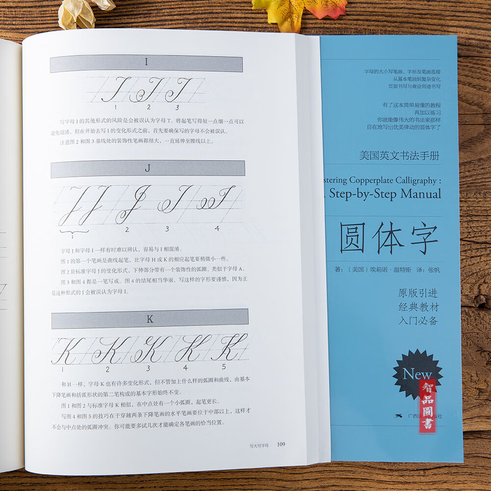 圆体字美国英文书法手册 er引进花体字圆体字英语书法笔字帖新手初学