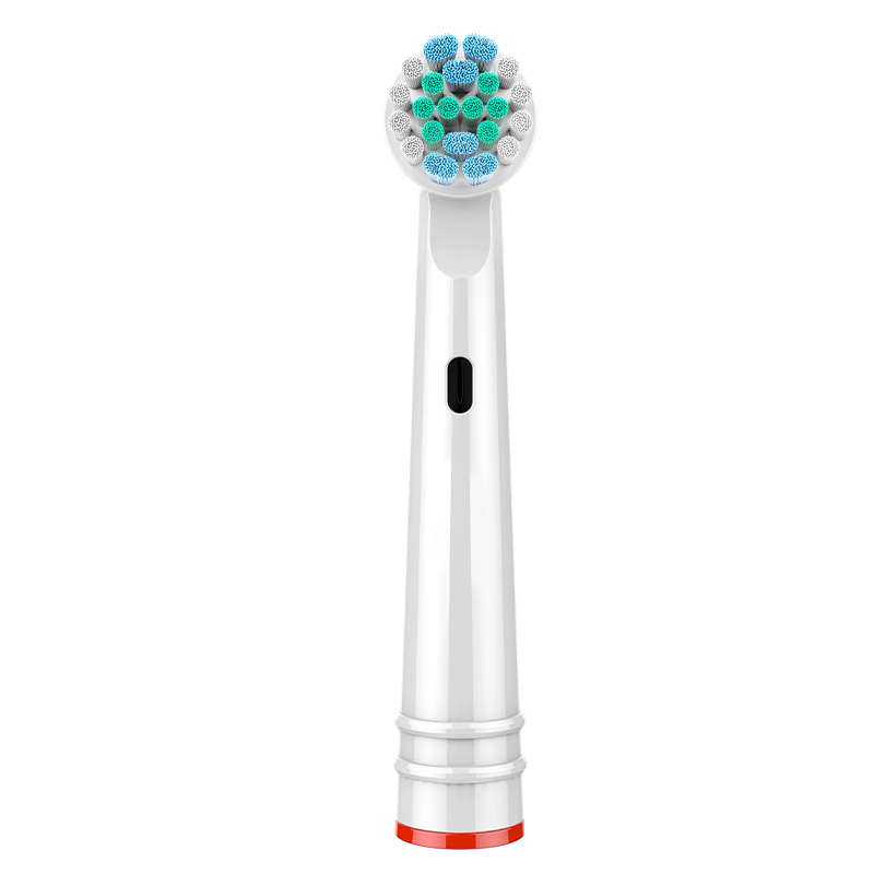 ɣAOOSSI ڲoralŷֱB綯ˢͷͨEB20-4/D12/D16滻 ׼ 4֧ װ*248Ԫ24Ԫ/