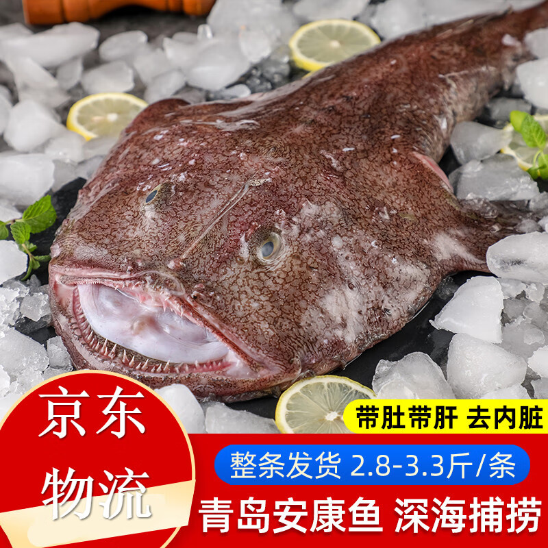 十里馋安康鱼   新鲜深海大嘴鱼蛤蟆鱼鮟鱇鱼肝鱼肚2.8-3.3斤海鲜水产