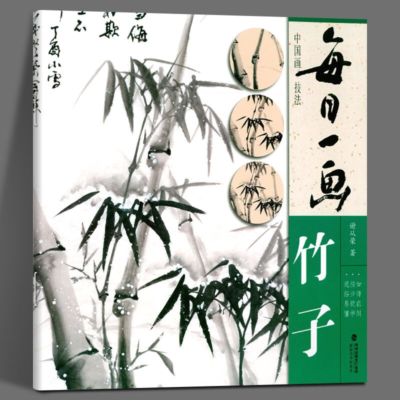 竹子 中国画技法国画书写意水墨画竹子册页 工笔画竹子技法画法步骤大