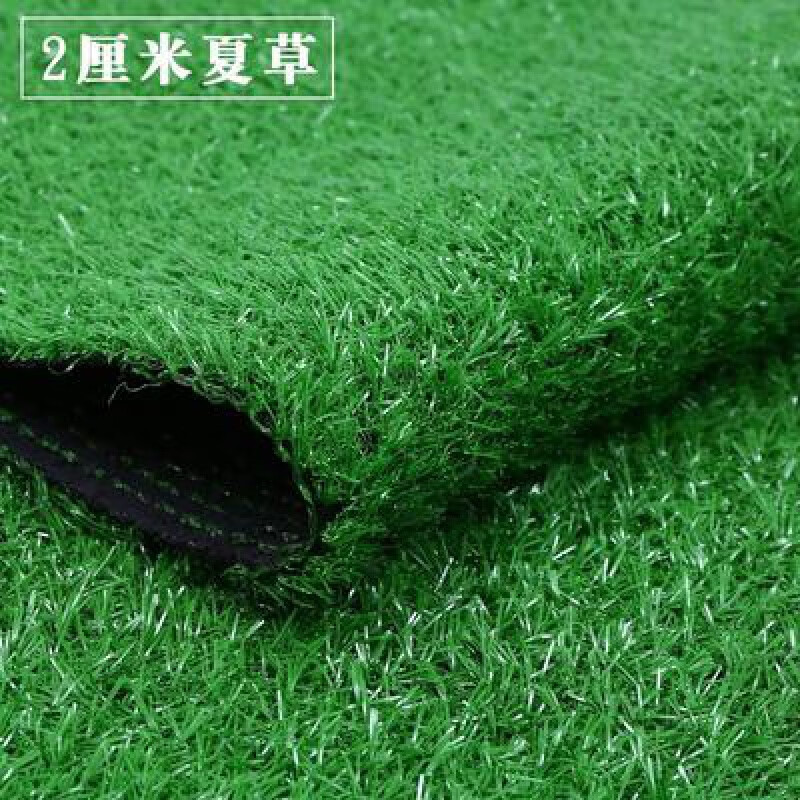 齊翼航人造草坪仿真鋪墊塑料假幼兒園人工草皮戶外綠色圍擋裝飾地毯 2.0夏草【幼兒園適用型】/㎡