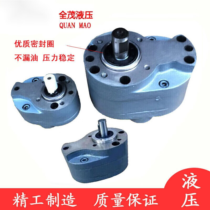 5/4/6/10/16/20/25/32/63/80液压小型钢齿轮油泵 cb-b2.