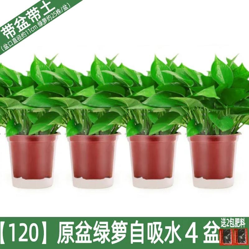 急需知道!该商品价格走势一目了然,抢购再也不犹豫!
