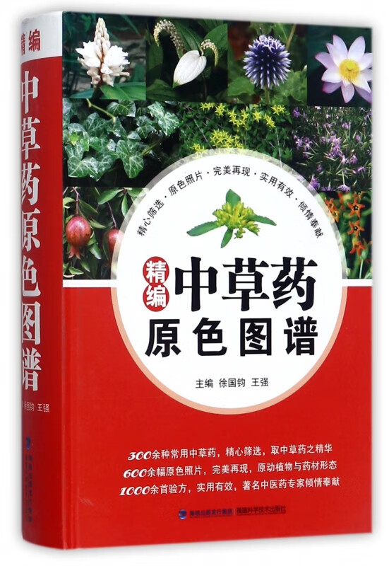精编中草药原色图谱(精)