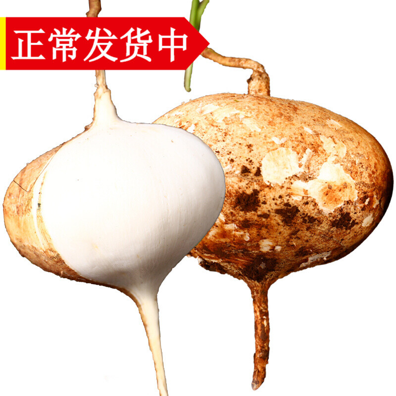 辰实广西新鲜白地瓜 生吃土瓜凉薯水果白地瓜地萝卜 9斤