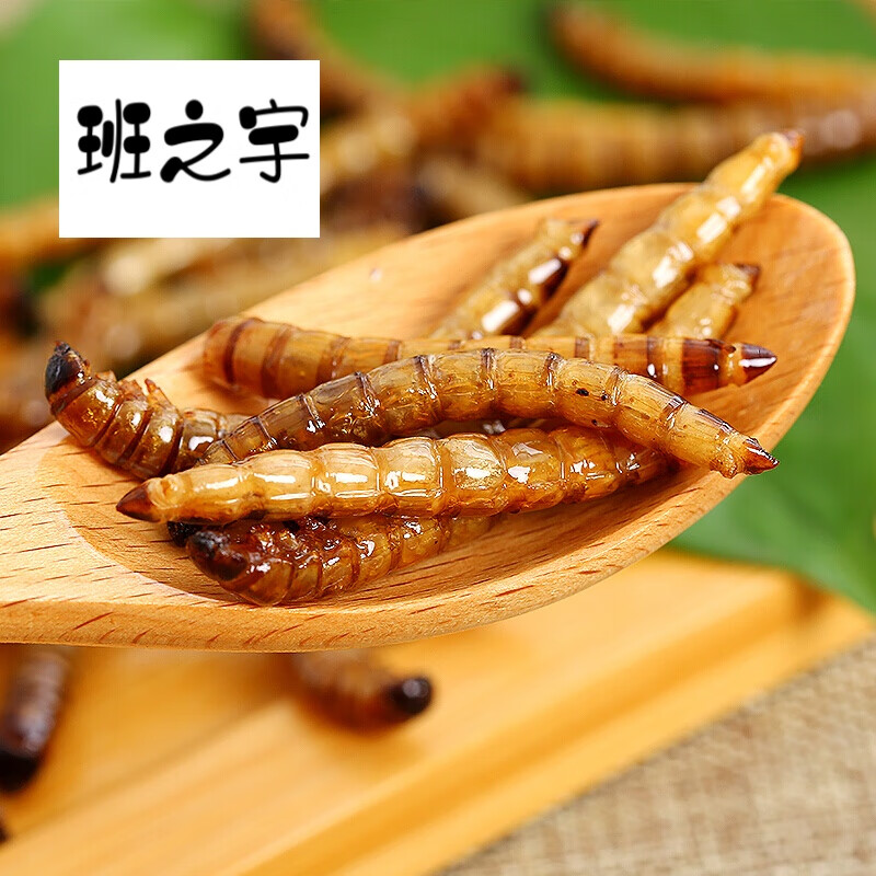 虎钢馋100g油炸大麦虫即食黄金虫办公小零食新鲜现做大麦虫昆虫小吃